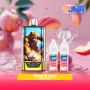 KIT Gorilla X + 2x 10ml Summer Peach Ice JNR